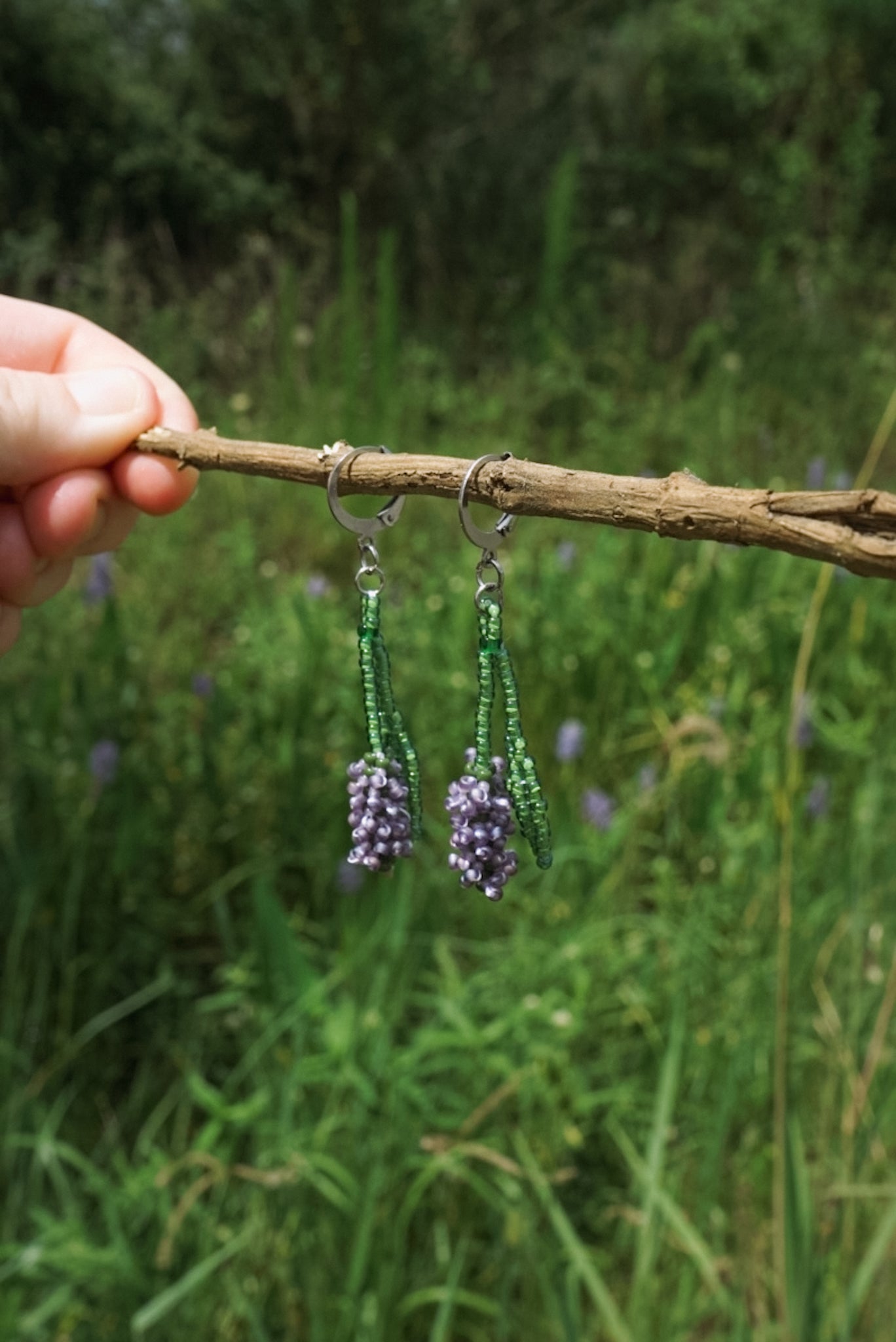 Pickerelweed blooms