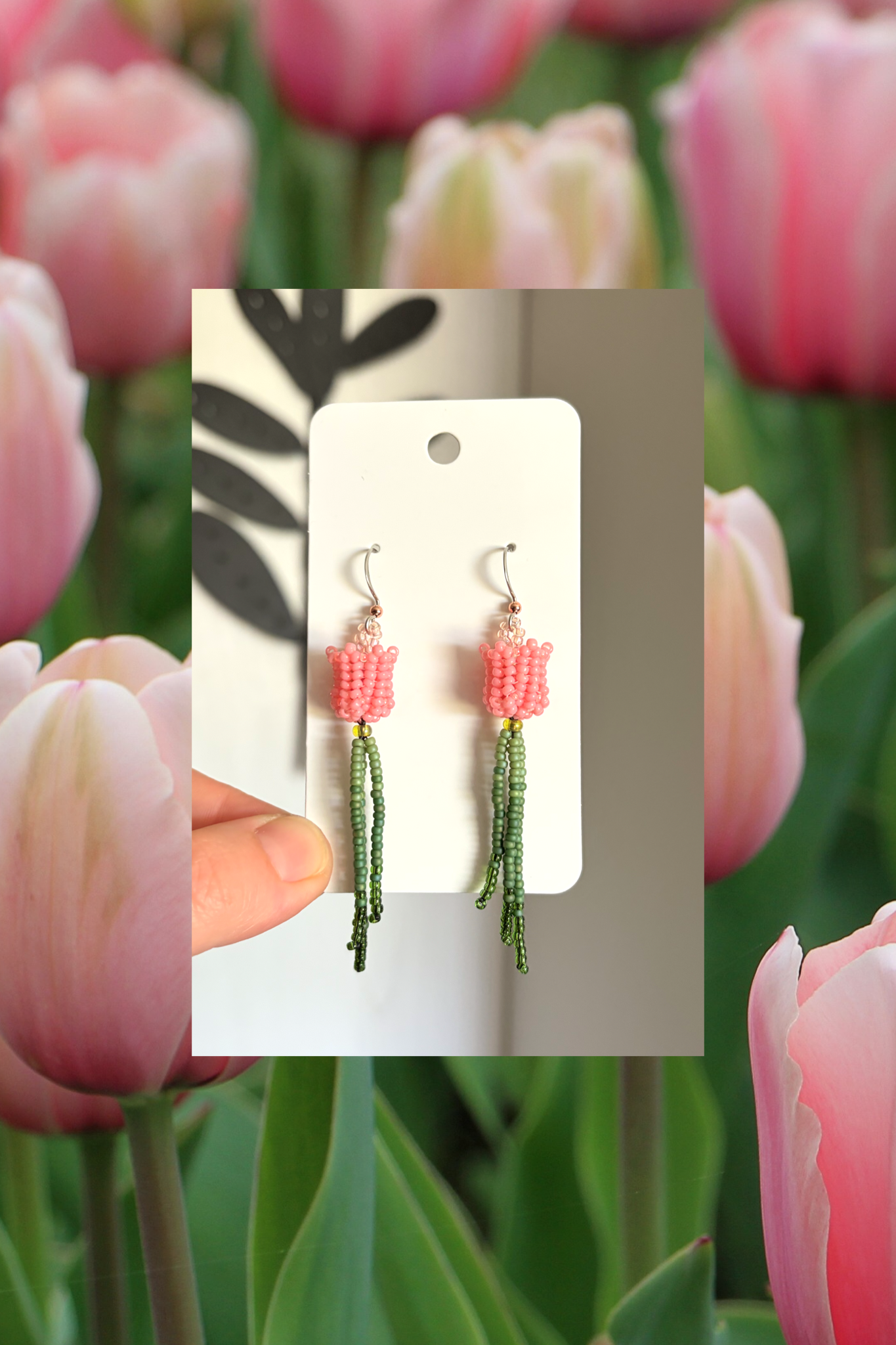 Pink tulips