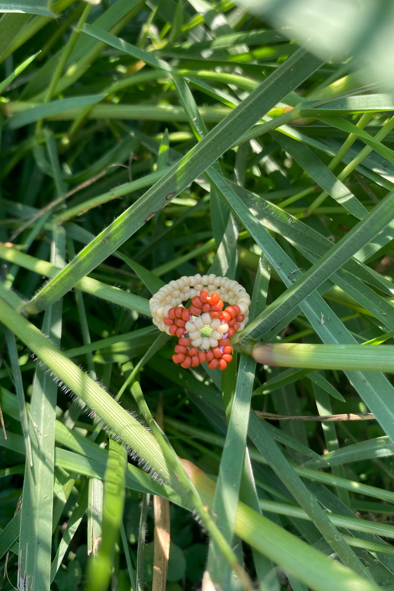 Rust red and wheat cinque ring (6)