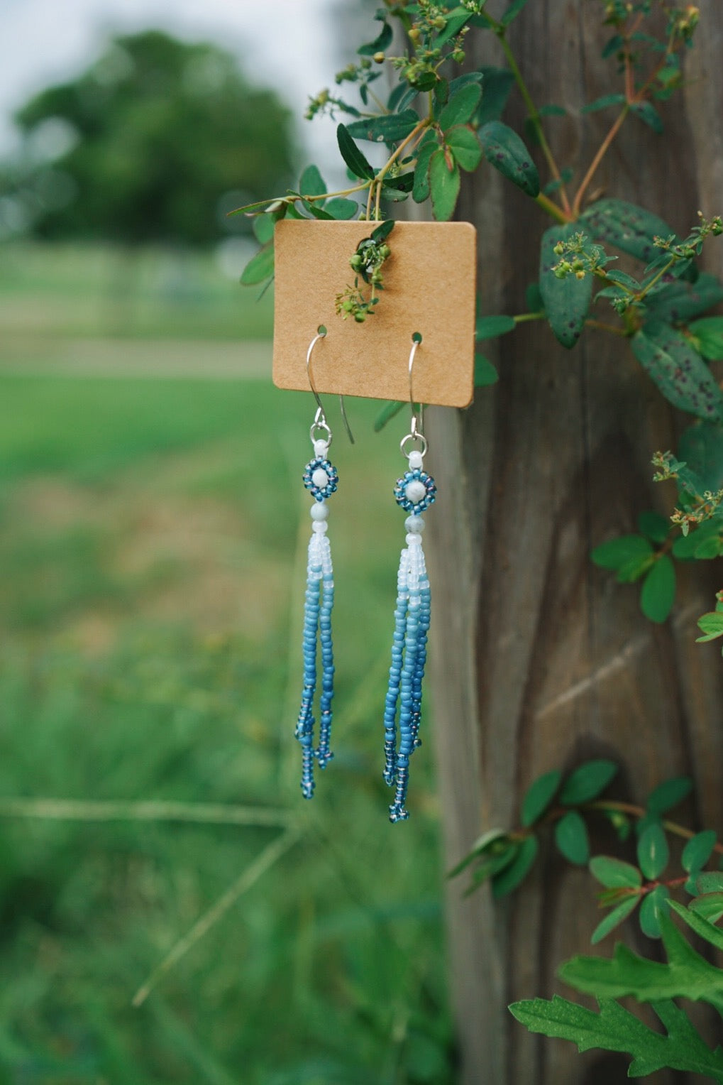 Snowmelt daisy drops