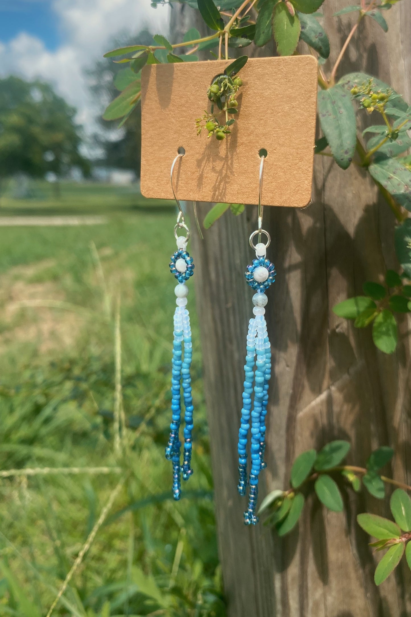 Snowmelt daisy drops