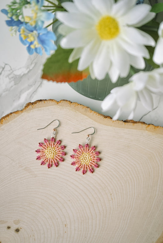 Raspberry-tipped sunburst blossoms