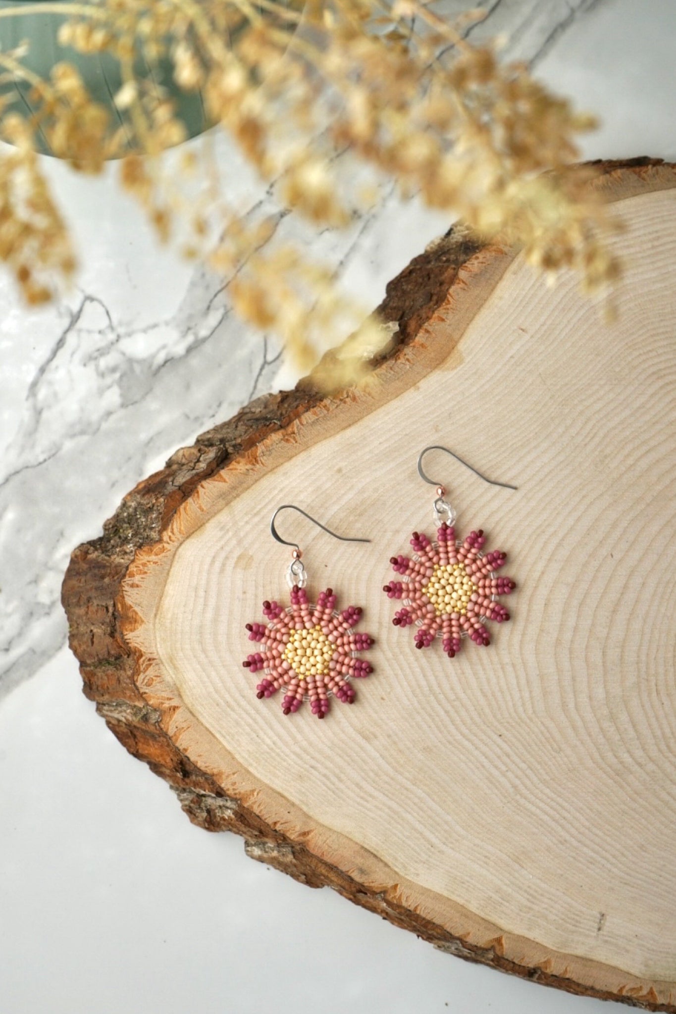 Raspberry-tipped sunburst blossoms