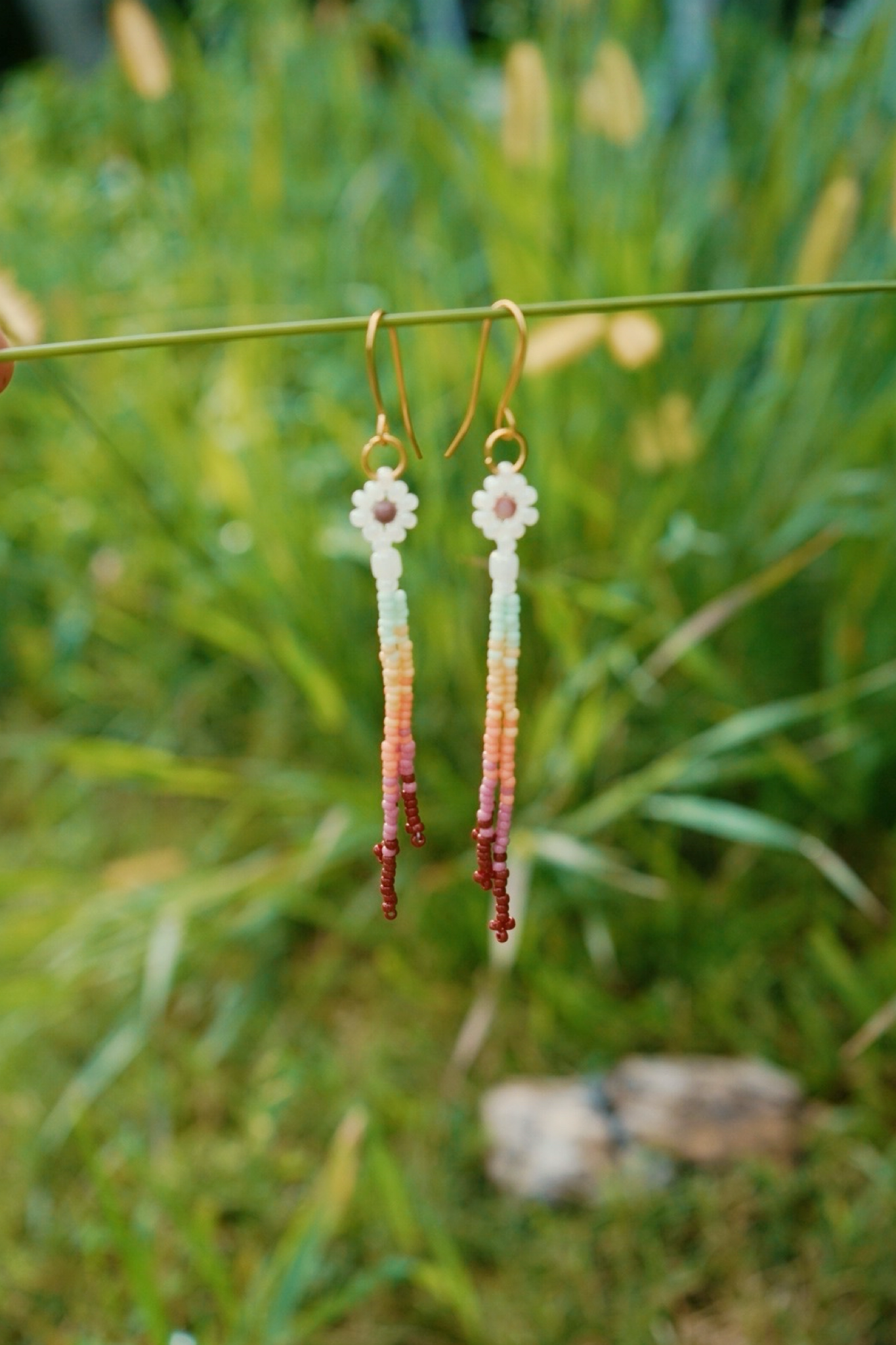 Superbloom daisy drops